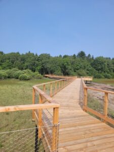 Implantation et creation d'un projet passerelle Lac des Settons, dans le Morvan 